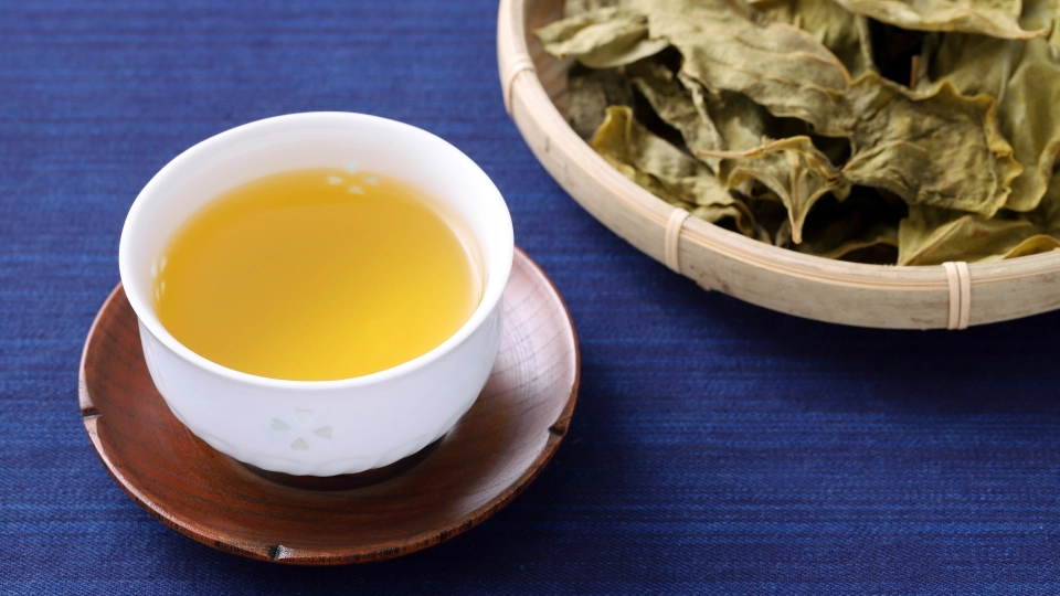 柿の葉茶の効能と副作用｜豊富なビタミンC・タンニンの効果