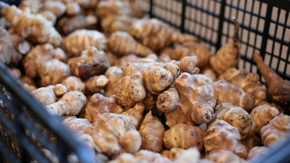 イヌリンで便秘解消！腸内環境への働きと逆に悪化する原因