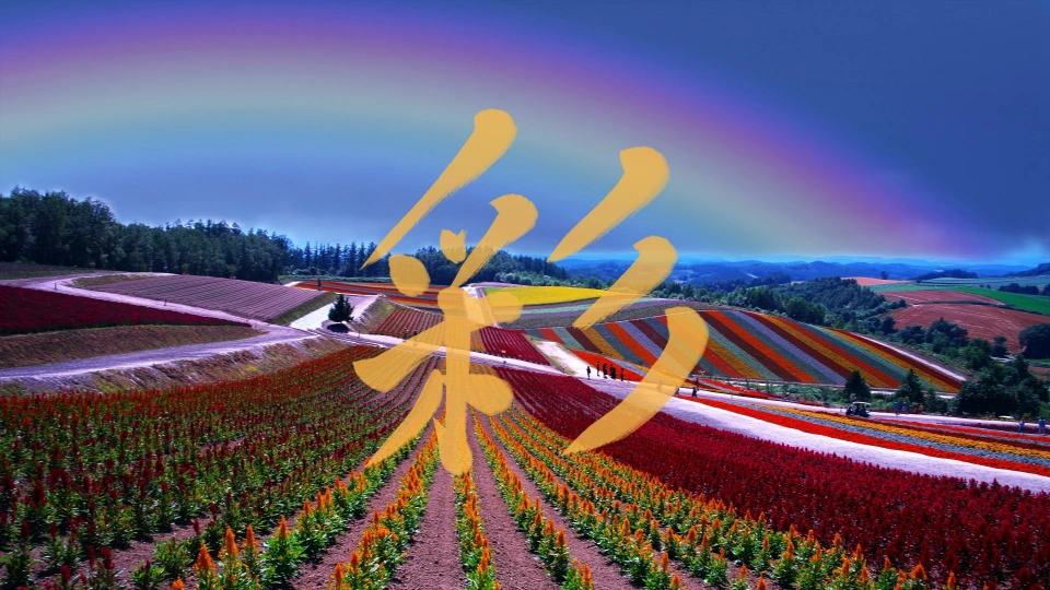 「彩」の漢字の成り立ち｜采と彡で「いろどり」を意味する理由