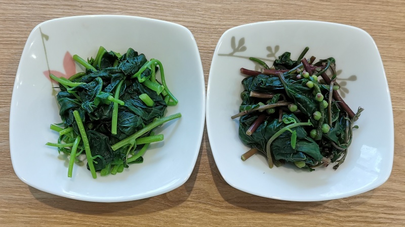 つるむらさきの種類と特徴｜赤茎種と緑茎種の違いを比較