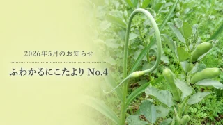 2026年5月のお知らせ|営業カレンダー・ふわかるにこたよりNo.4