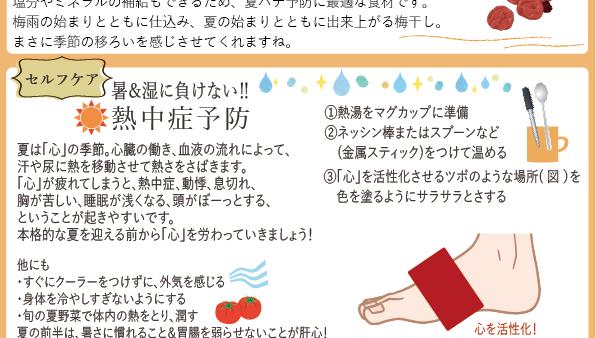 ふわかるにこたよりNo.5（2026年6月号）