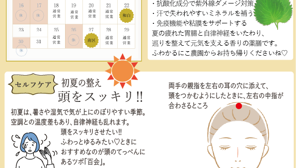 ふわかるにこたよりNo.6（2026年7月号）