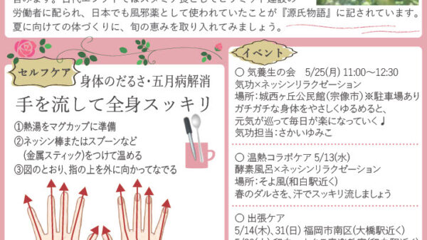 ふわかるにこたよりNo.4（2026年5月号）