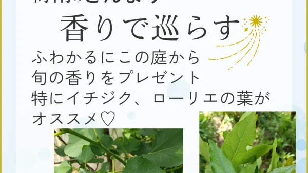 【2025年6月】梅雨のどんよりを整える旬の香りをプレゼント！